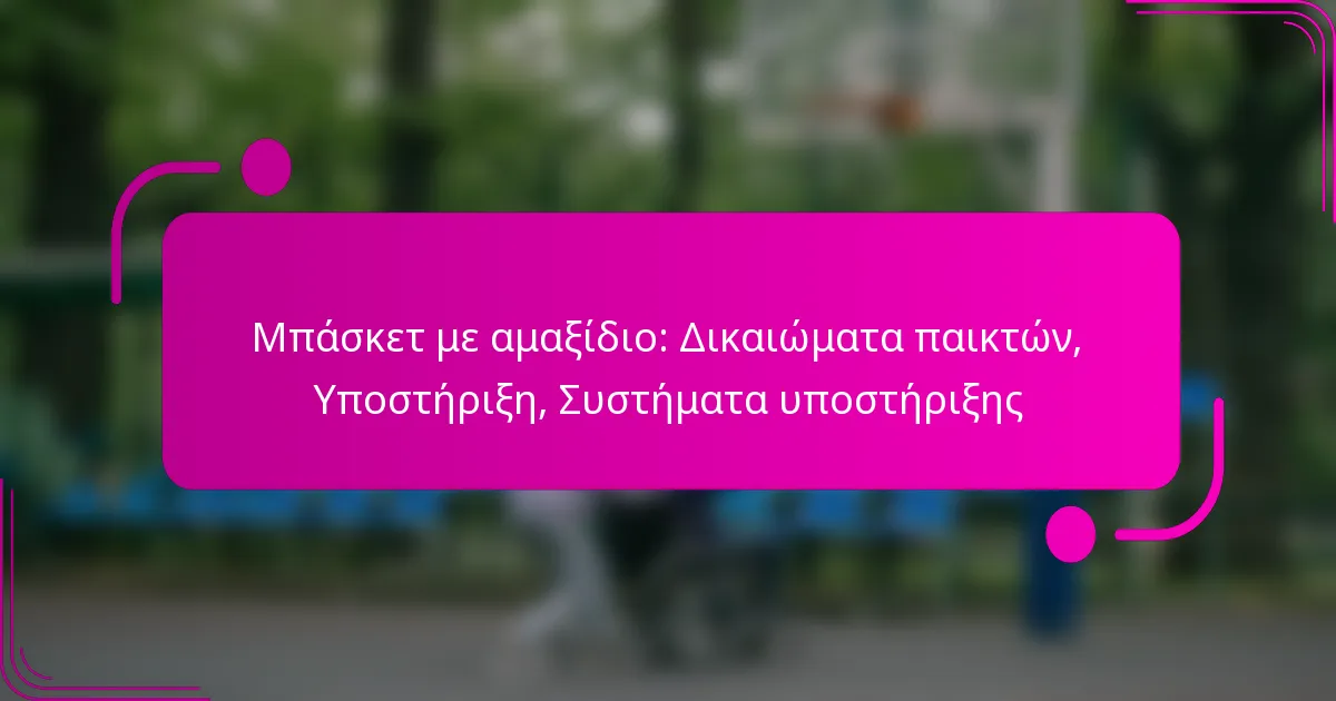 Μπάσκετ με αμαξίδιο: Δικαιώματα παικτών, Υποστήριξη, Συστήματα υποστήριξης