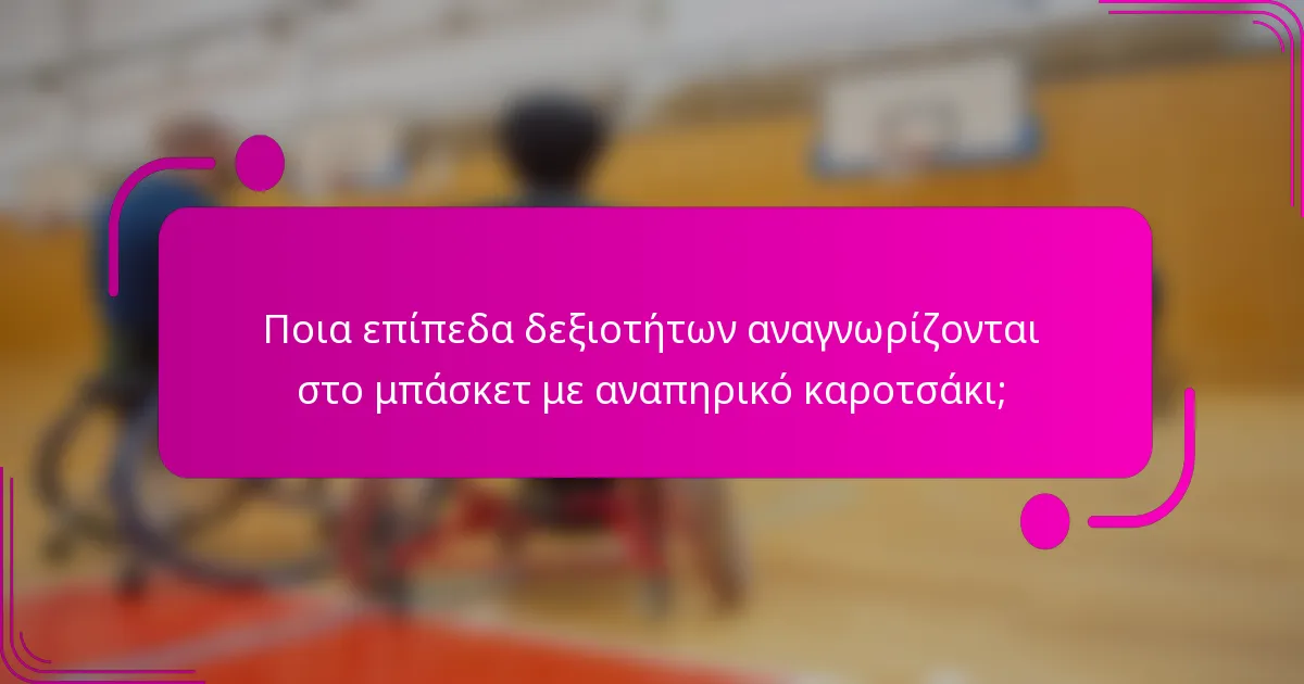 Ποια επίπεδα δεξιοτήτων αναγνωρίζονται στο μπάσκετ με αναπηρικό καροτσάκι;